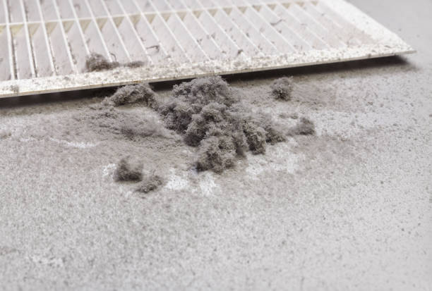 Best Emergency Air Duct Cleaning  in Skyline, AL