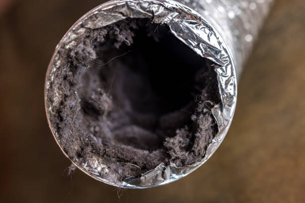 Best Air Duct Cleaning Near Me  in Skyline, AL