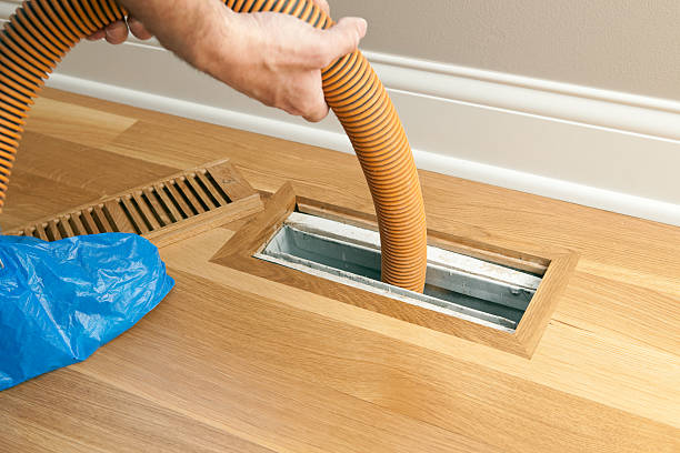 Best Affordable Air Duct Cleaning  in Skyline, AL