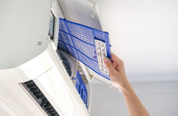 Best Best Air Duct Cleaning Company  in Skyline, AL