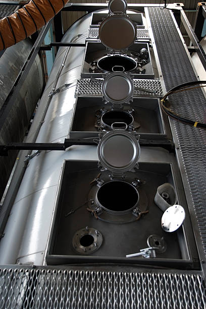 Best Air Duct Mold Removal  in Skyline, AL
