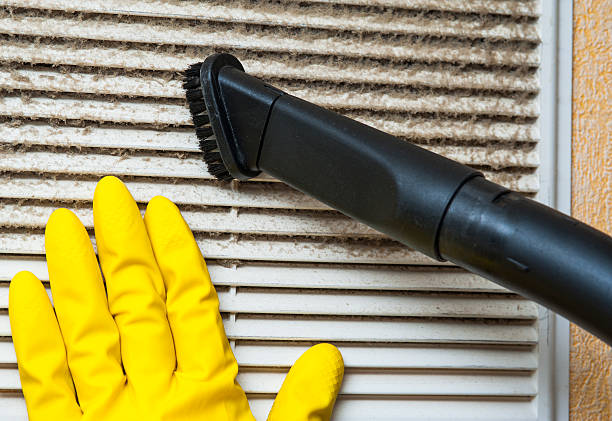 Best Duct Cleaning Specialists  in Skyline, AL