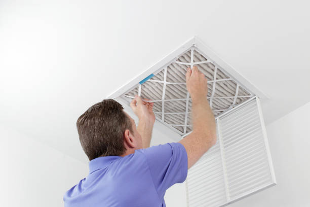 Best Best Air Duct Cleaning Company  in Skyline, AL